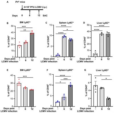 Delayed macrophage targeting by clodronate liposomes worsens the progression of cytokine storm syndrome